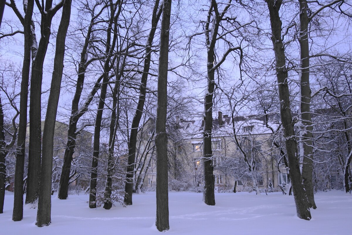 Калининград, 31 декабря - Рита Симонова