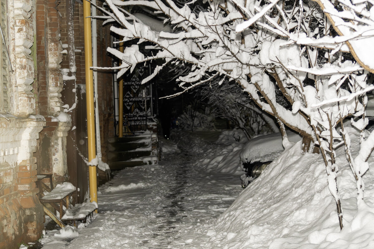В Новогоднюю ночь прогулка по Армавиру - Игорь Сикорский В Новогоднюю ночь прогулка по Армавиру - Игорь Сикорский