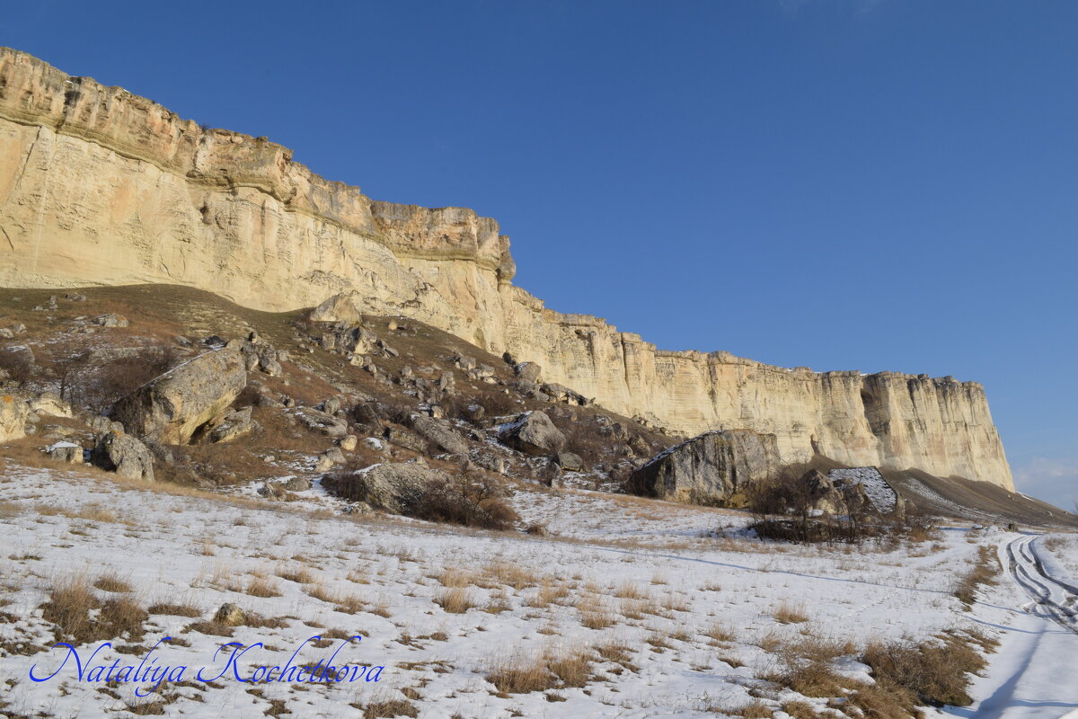 Природа Крыма - Amazing Cosmea Природа Крыма - Amazing Cosmea