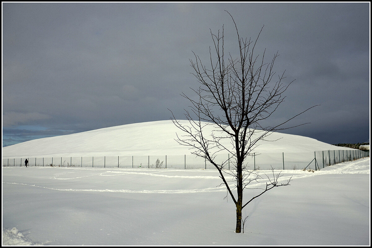 Белое безмолвие - Aleksandr Gal