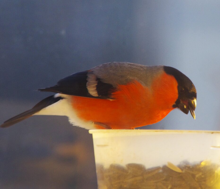 Вчера... - Юрий Куликов