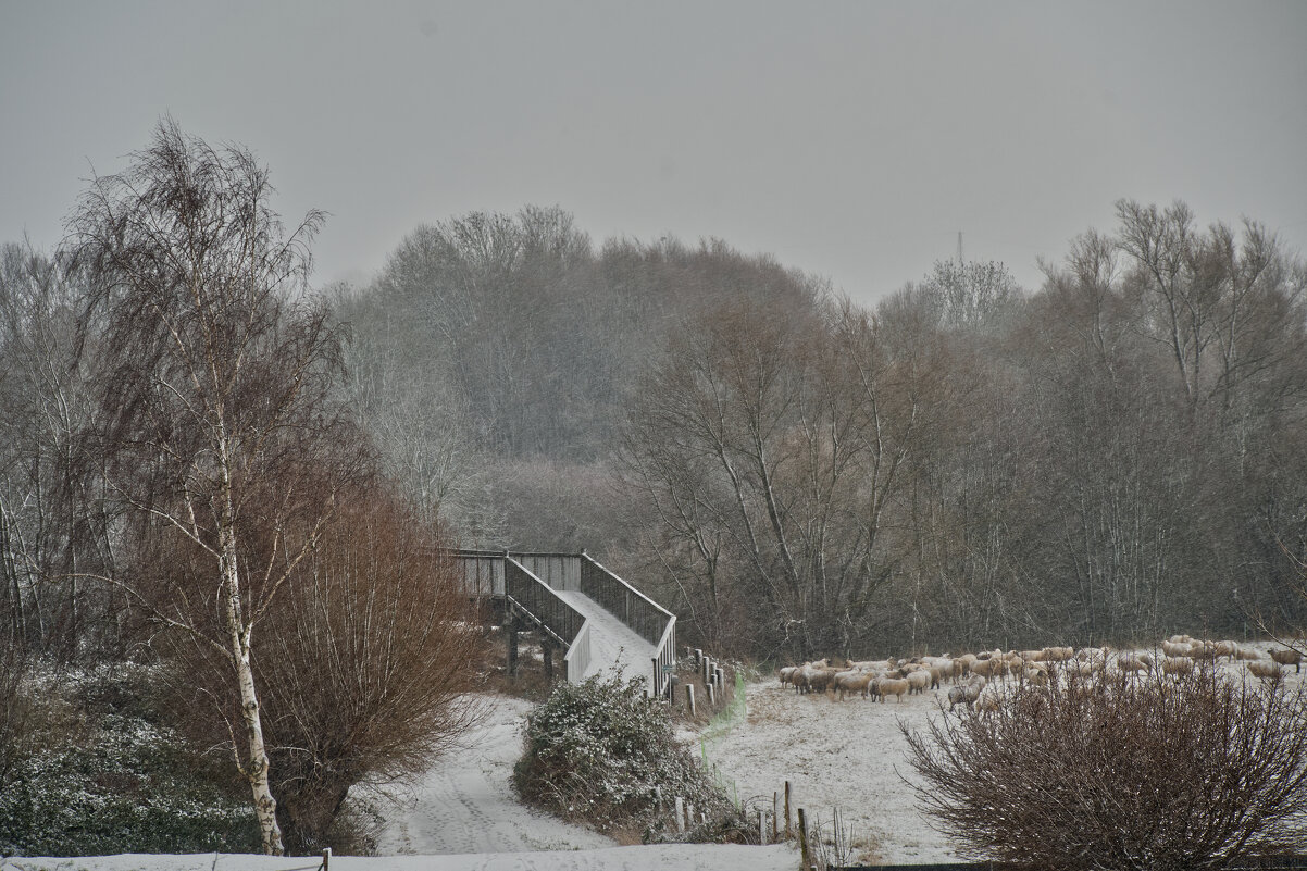 Небольшой просвет... 2.01.2026 - Jakob Dick Небольшой просвет... 2.01.2026 - Jakob Dick