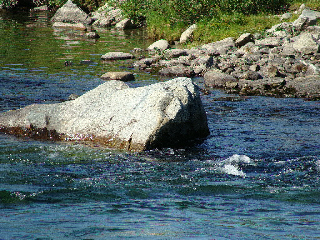 ЯМАЛ - Tata Wolf