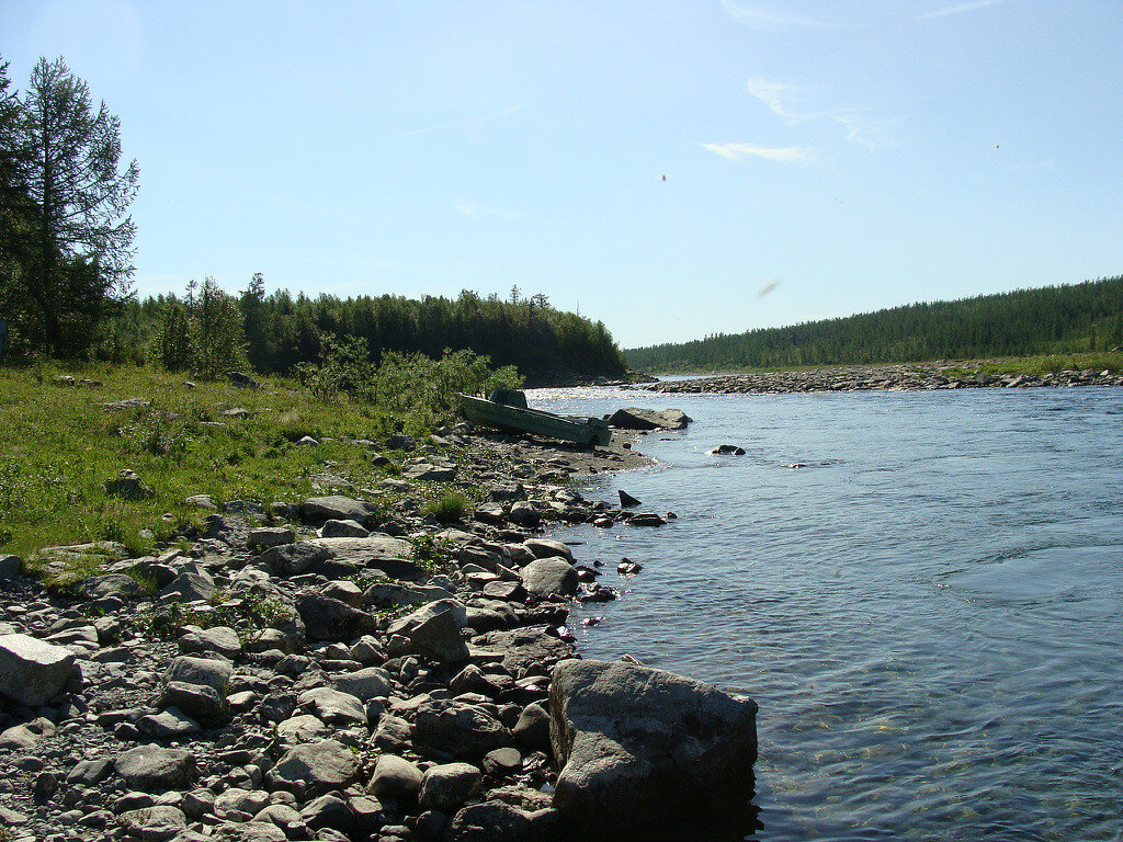 ЯМАЛ - Tata Wolf