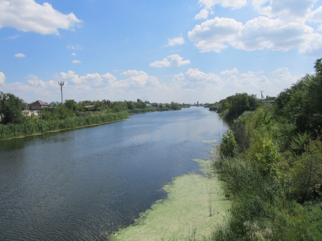 про лето - Елена Шаламова