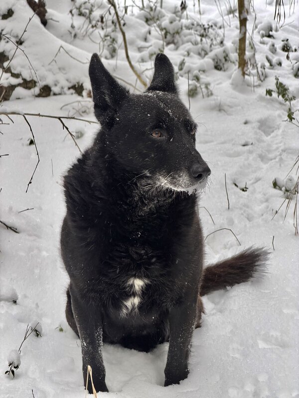 Охранник! - Любовь 