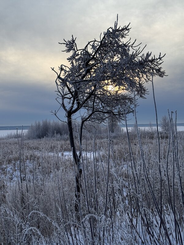 Зимнее одиночество. - Сергей Адигамов Зимнее одиночество. - Сергей Адигамов