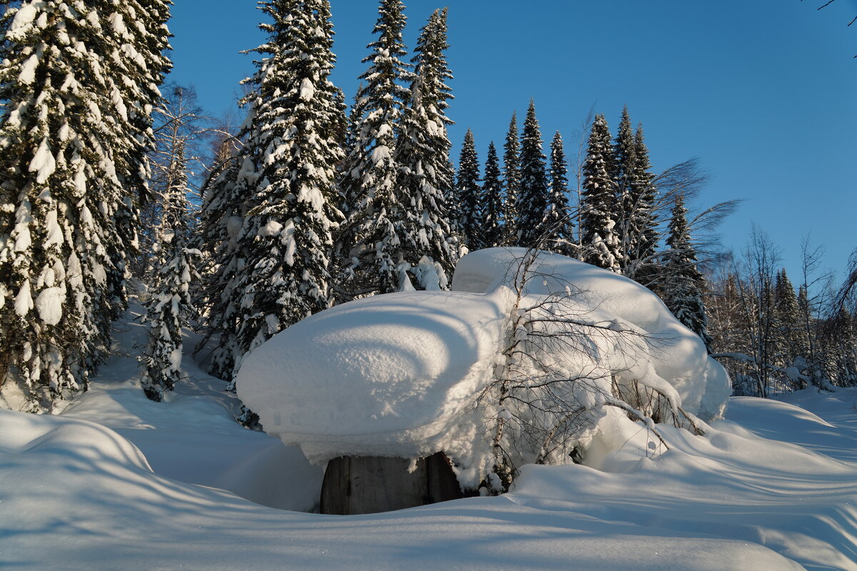 Сарай - Павел Трунцев Сарай - Павел Трунцев