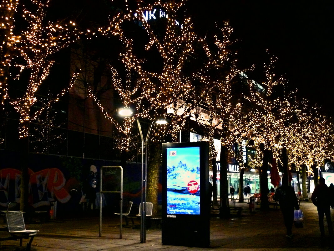 Рождество в Штутгарте - 11 - Алексей Кузнецов