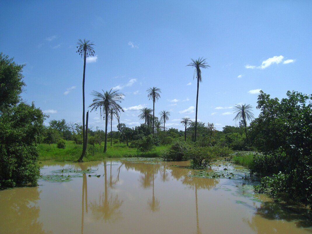 Кусочек Буркина-Фасо. - unix (Илья Утропов)