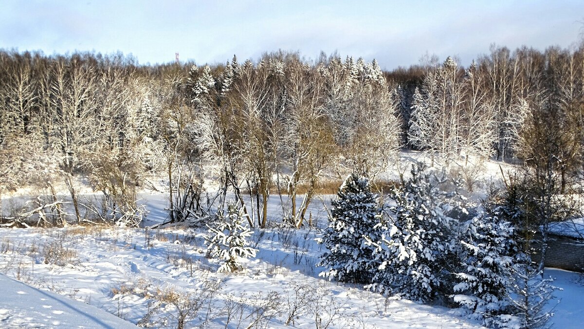 Картинка зимы. - Милешкин Владимир Алексеевич 
