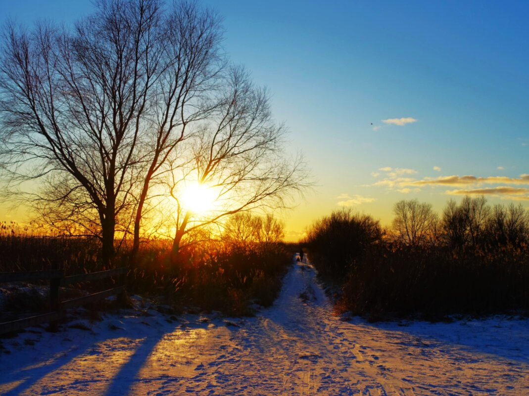 Дорожка на берег моря - Aida10 