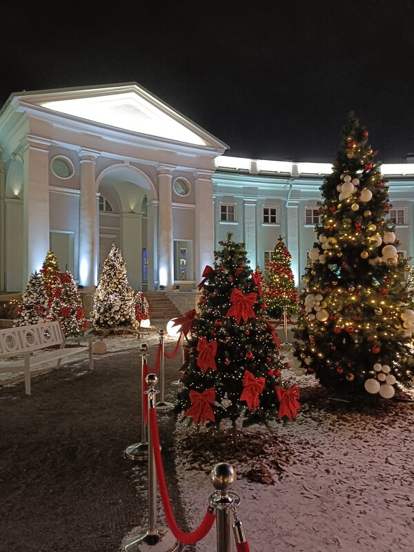 новогодние дни - Галина R...