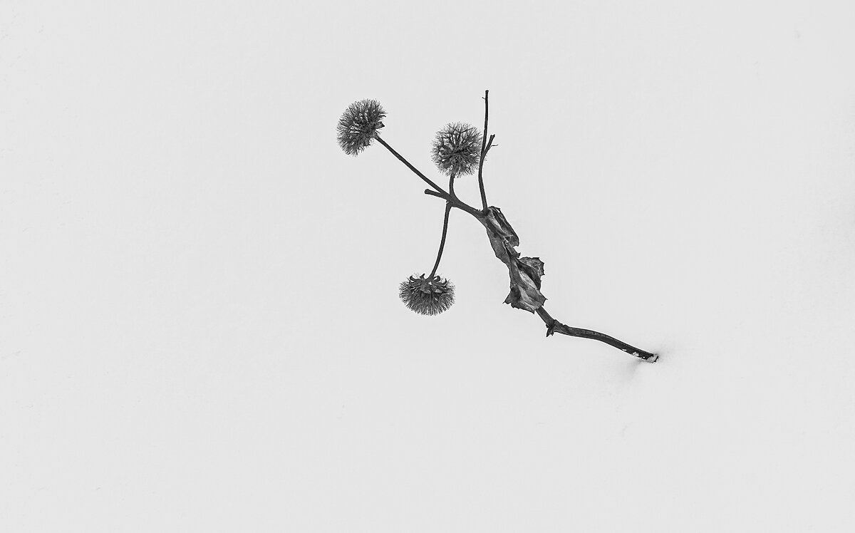 В снежном безмолвии - Валерий Иванович