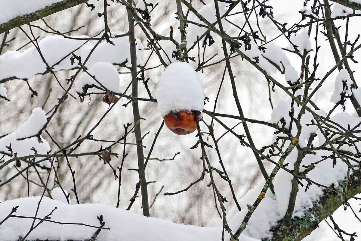 Позабытое с прошлого года - Валерий Иванович