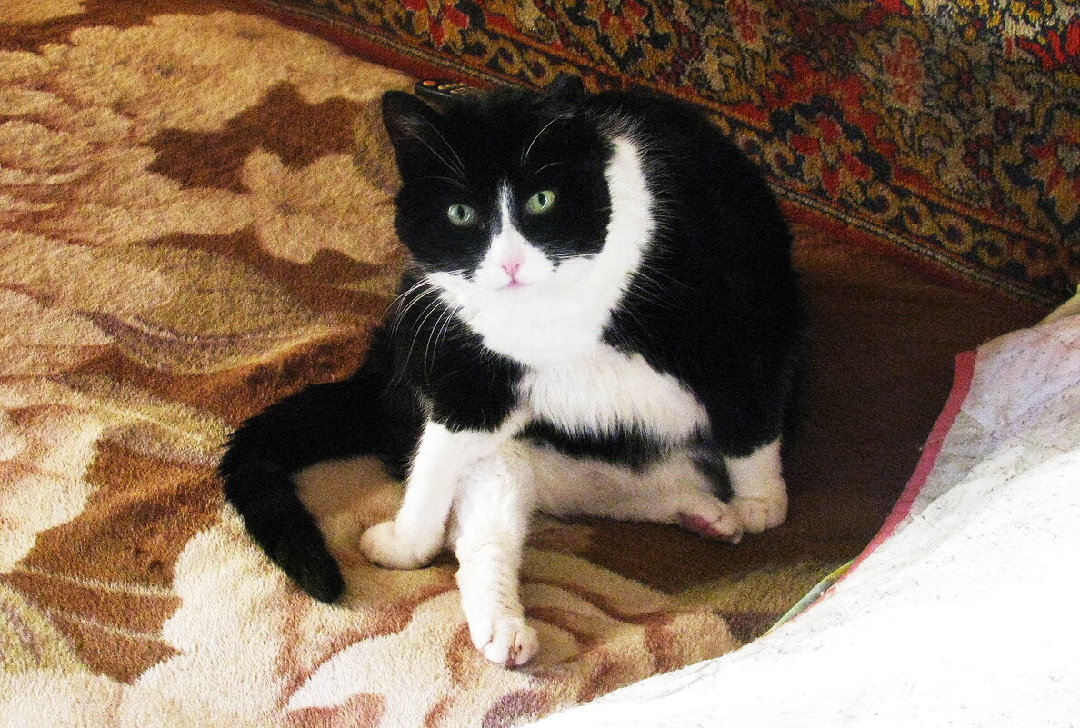 Не мешай мне отмываться - Людмила Смородинская Не мешай мне отмываться - Людмила Смородинская