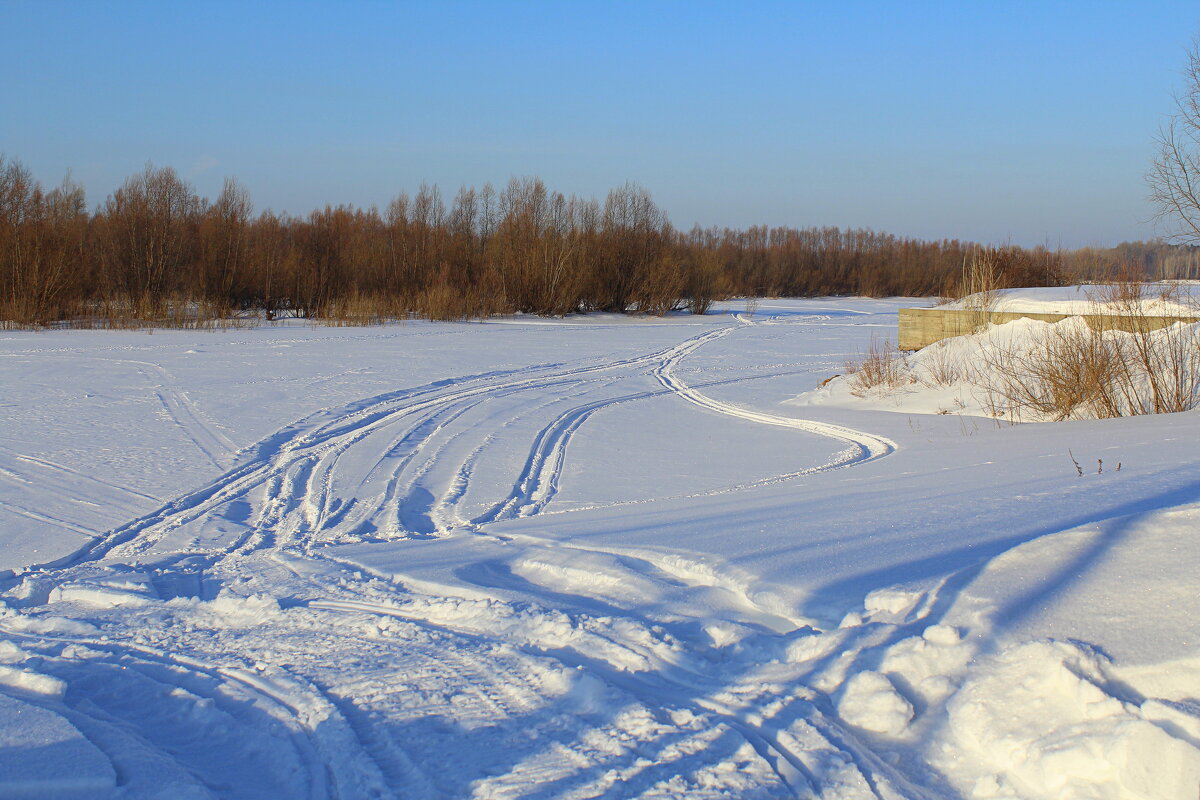 Под синим небом января - Татьяна Лютаева