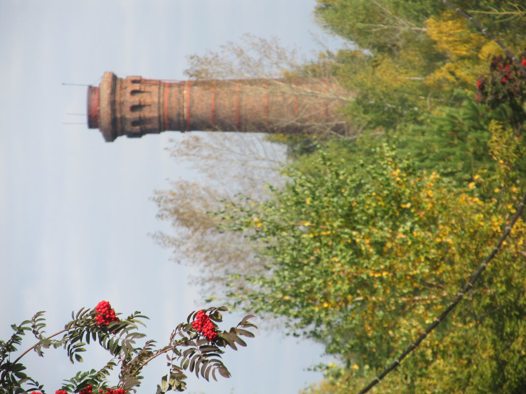 пос. Калиново - Елена Шаламова