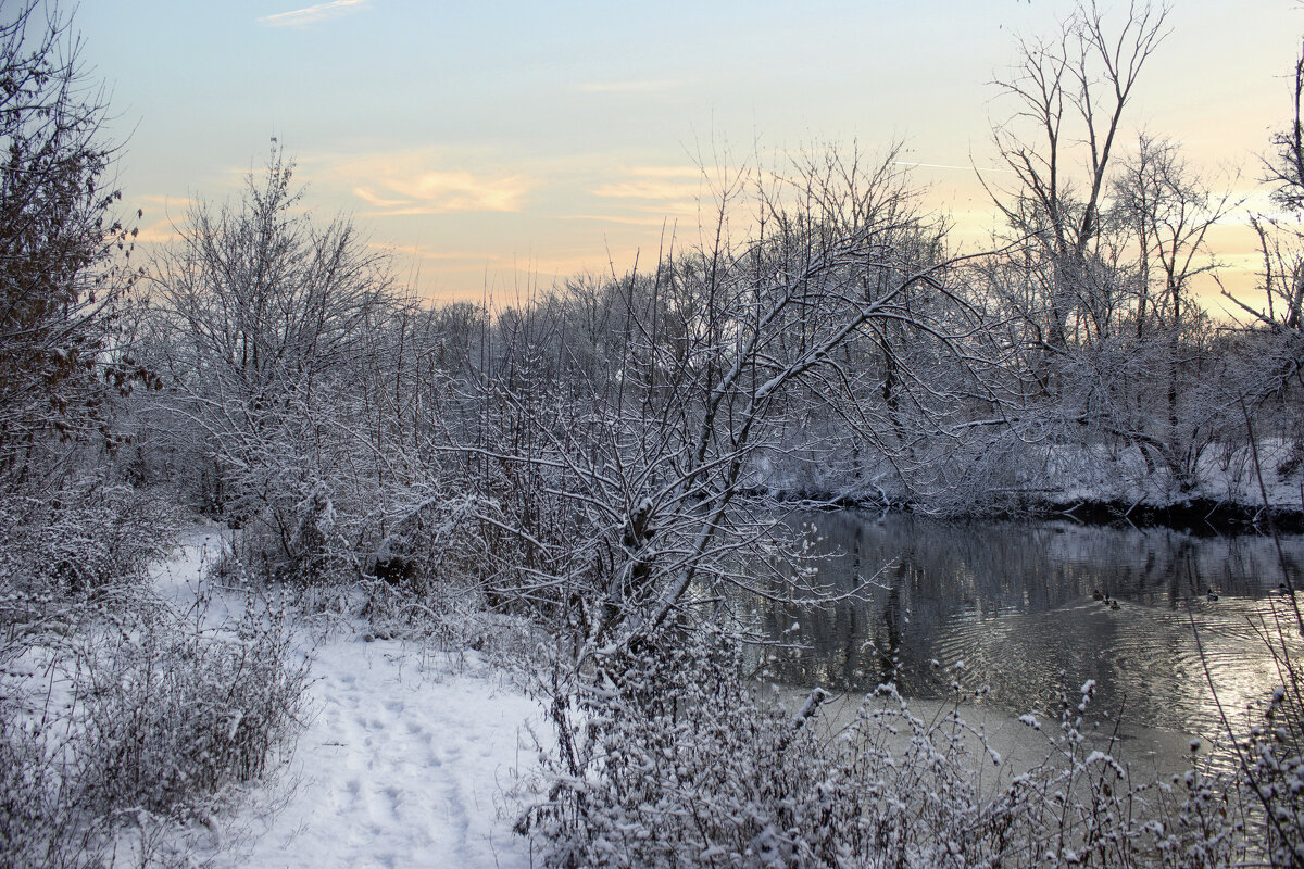 Утро. - Александр. AVG100 ---