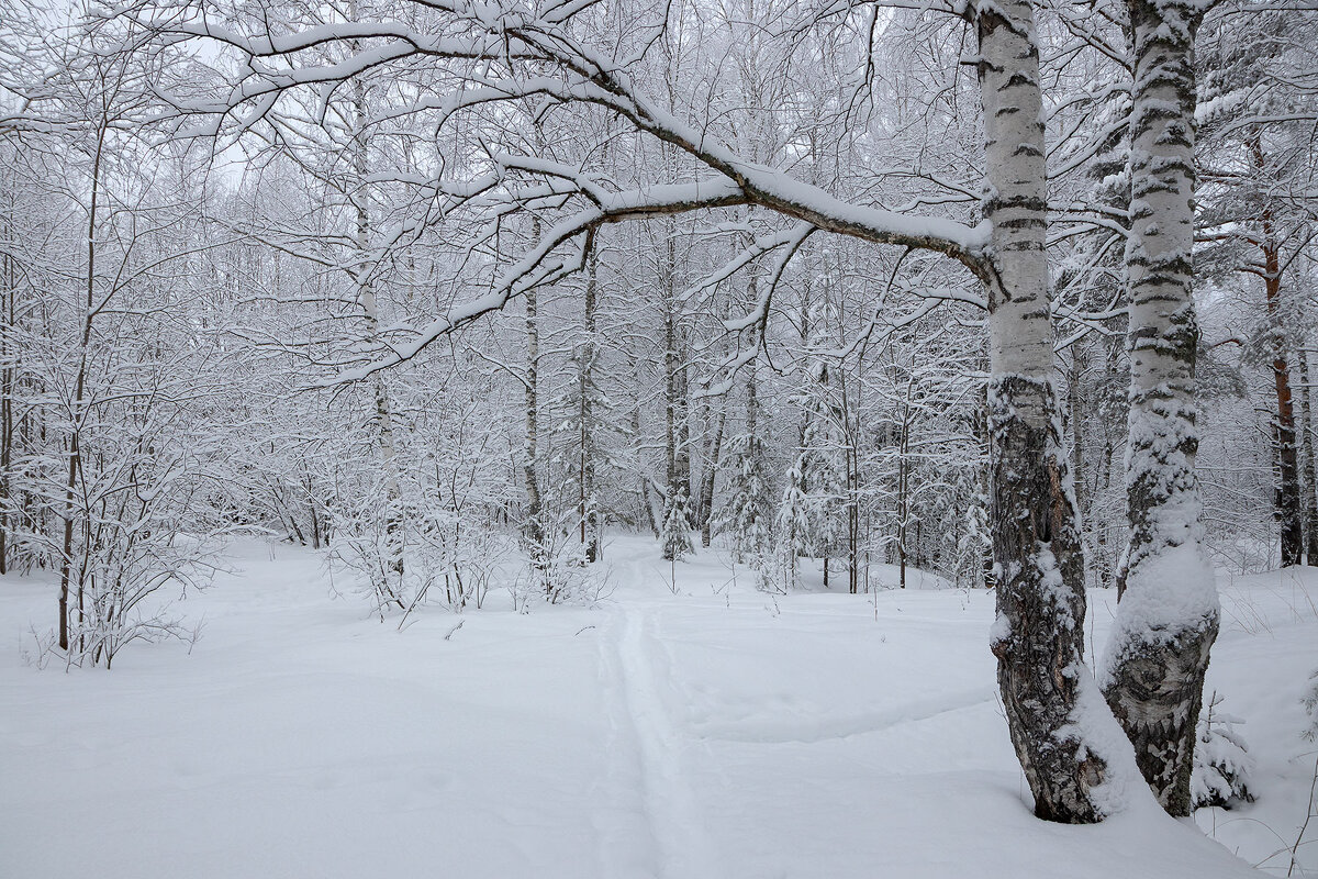Зима на Русском Севере. - Андрей Дурапов