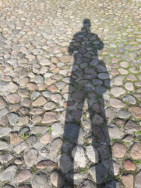 /// - Виктор Никитенко