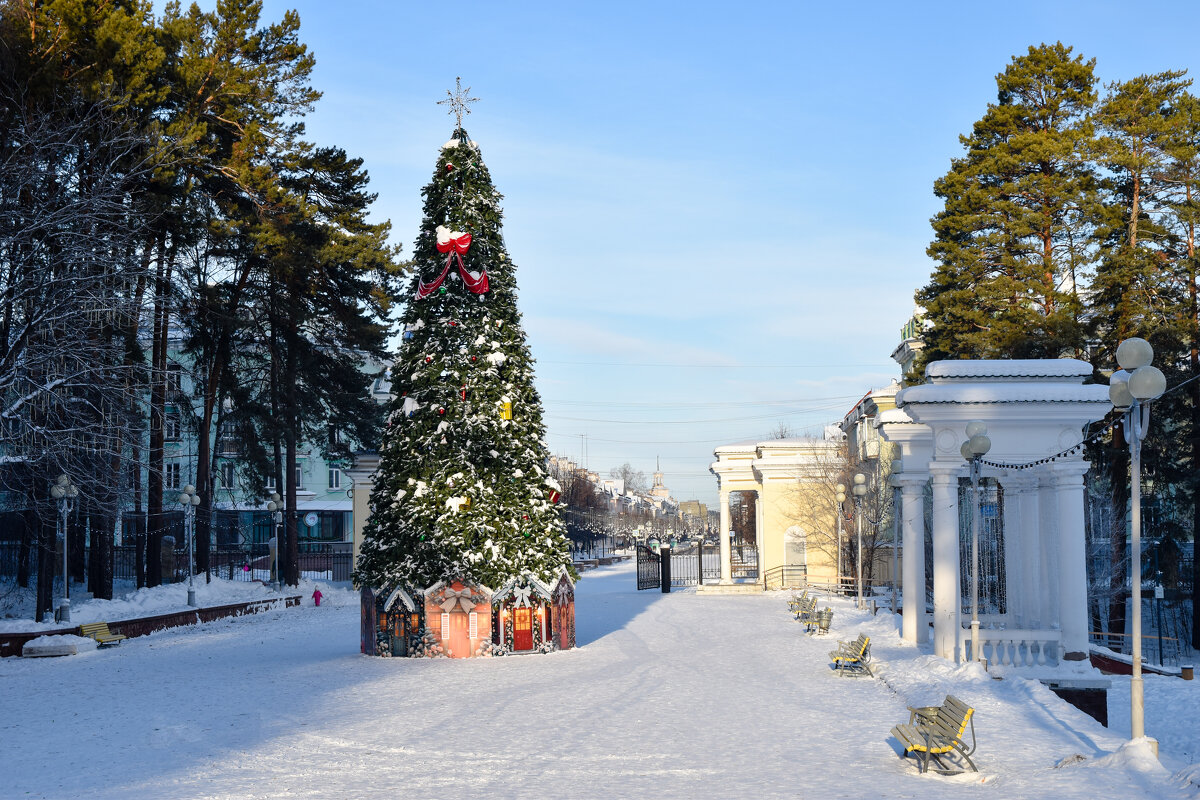 Новогодняя - Владимир Звягин