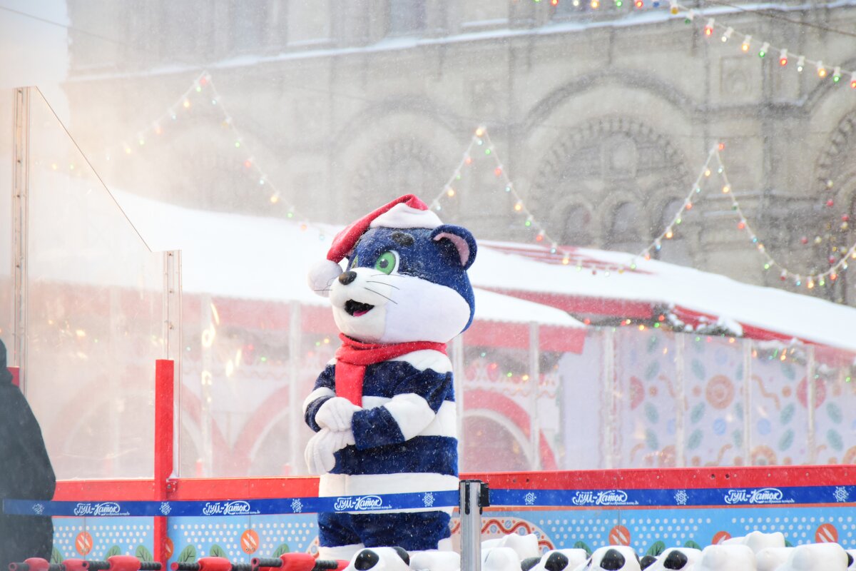 Матроскин на катке. - Наталья Вязигина Матроскин на катке. - Наталья Вязигина