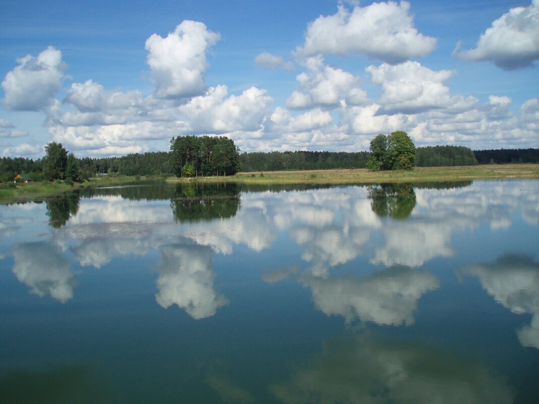 Mirror - silvestras gaiziunas gaiziunas