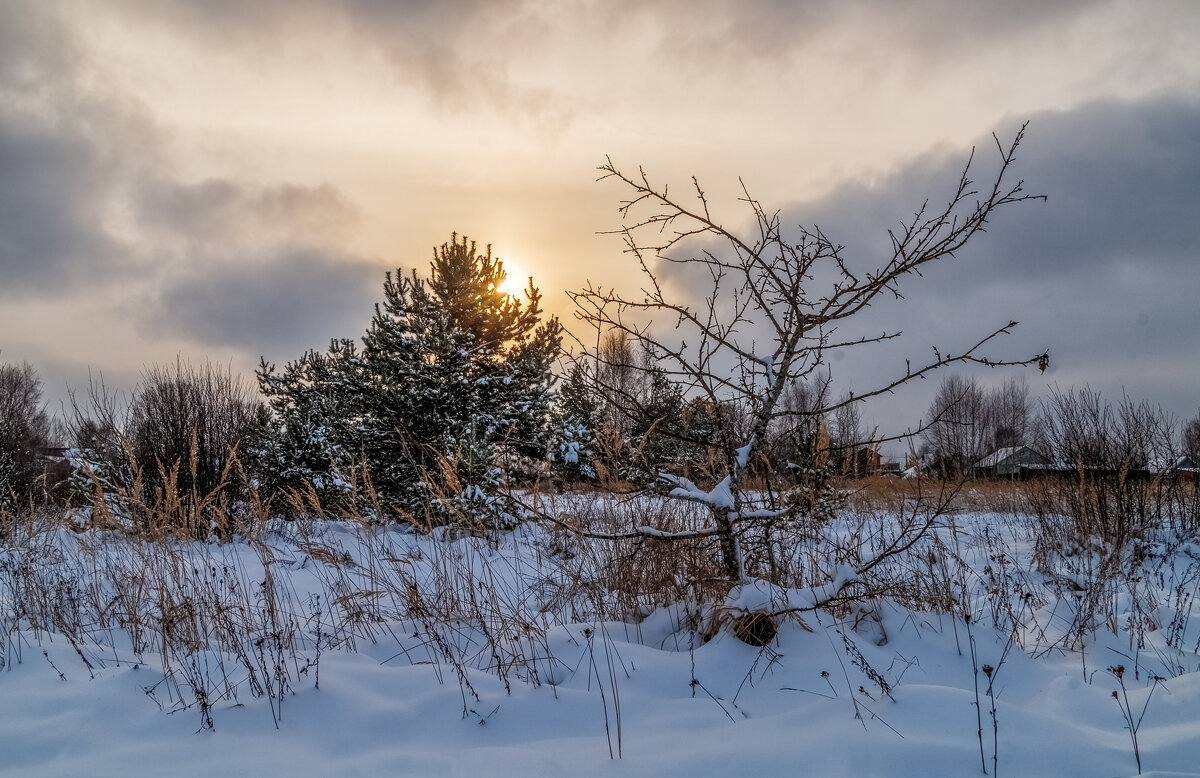 Перед новым годом 4 - Андрей Дворников