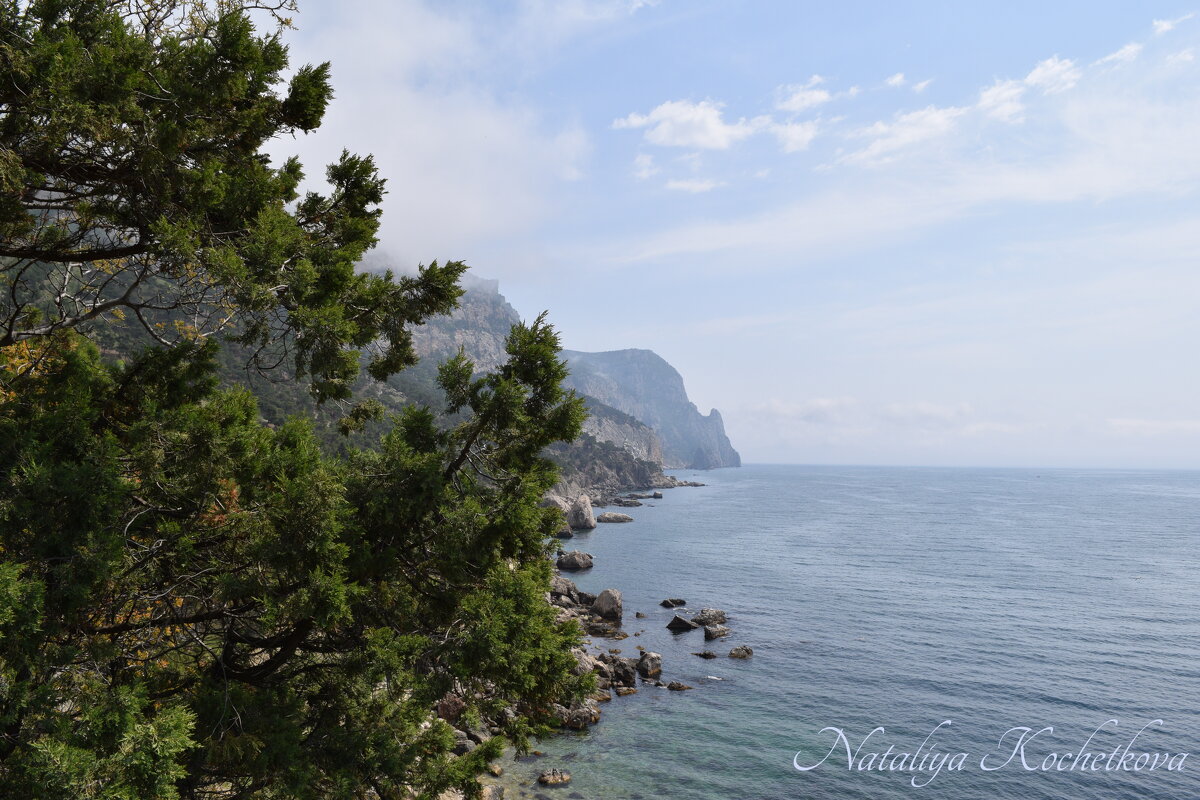 Природа Крыма - Amazing Cosmea