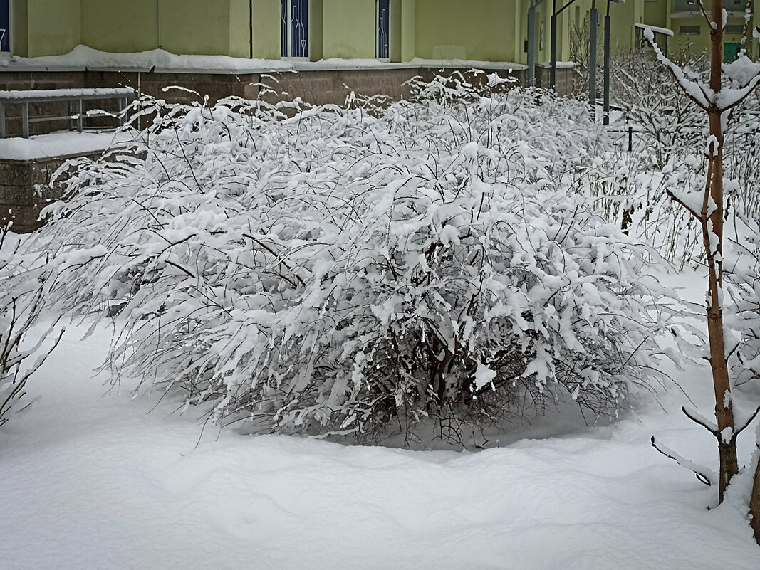 Наряд пуховый и красивый! - Лилия * Наряд пуховый и красивый! - Лилия *
