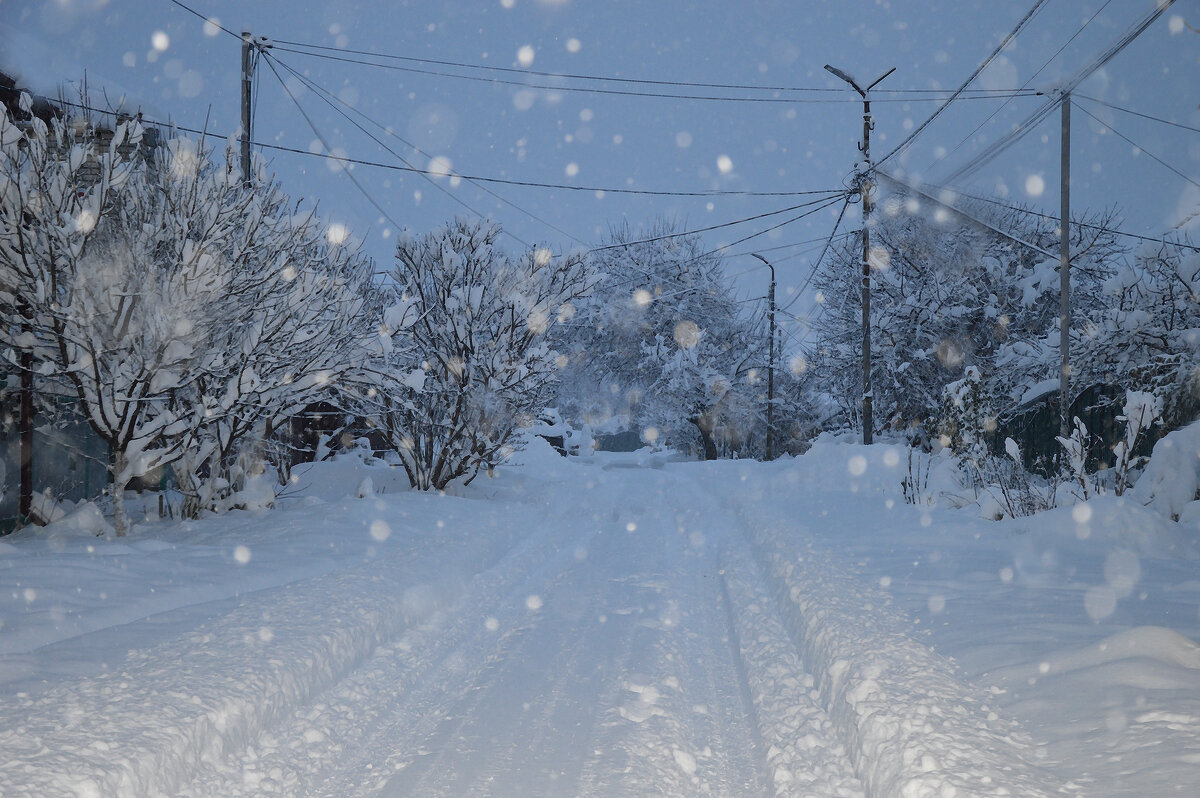 ...снежок порхает, кружится... - Надежда Куркина ...снежок порхает, кружится... - Надежда Куркина