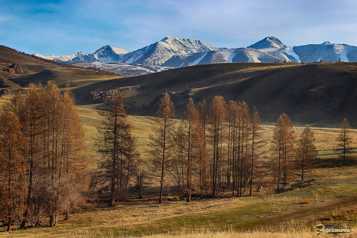 В долине Курая - елена беликова