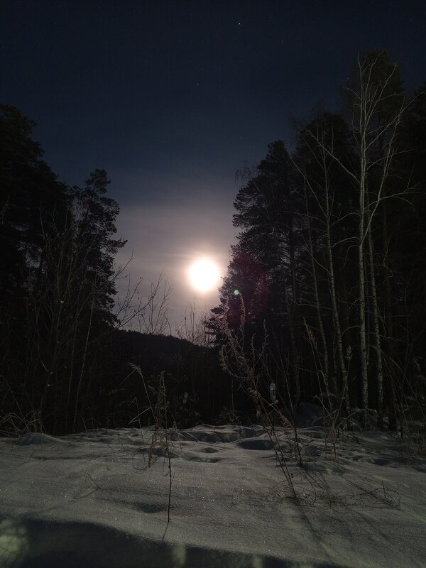 В темном лесе, в темном лесе. - Вадим Басов