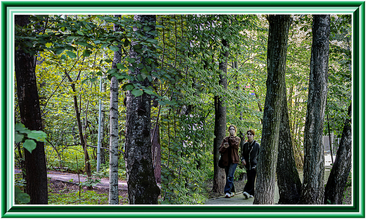 В лесопарке - Владимир Кроливец