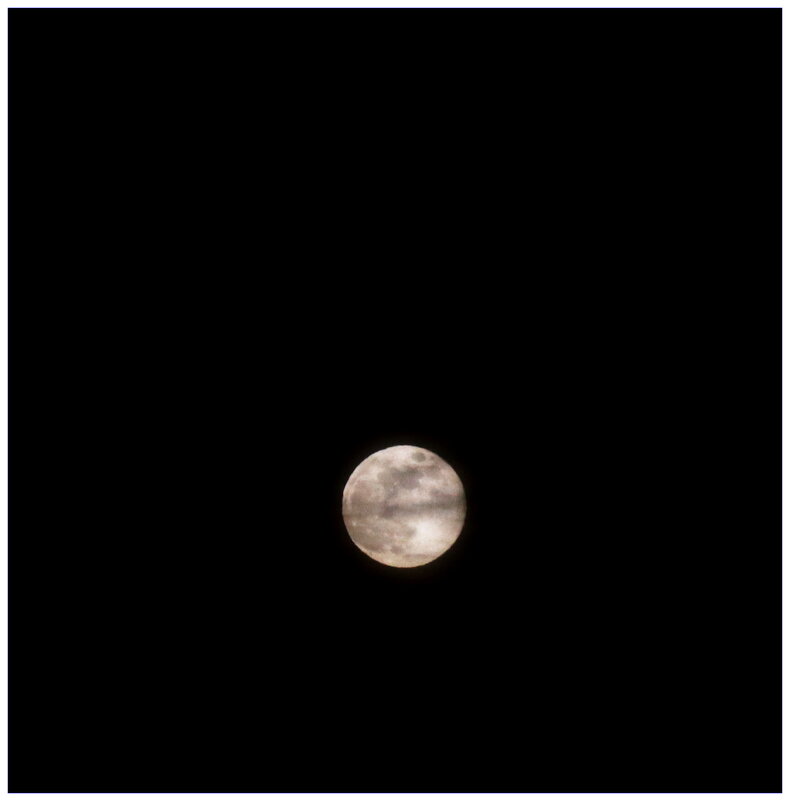 полнолуние - Игорь Kуленко