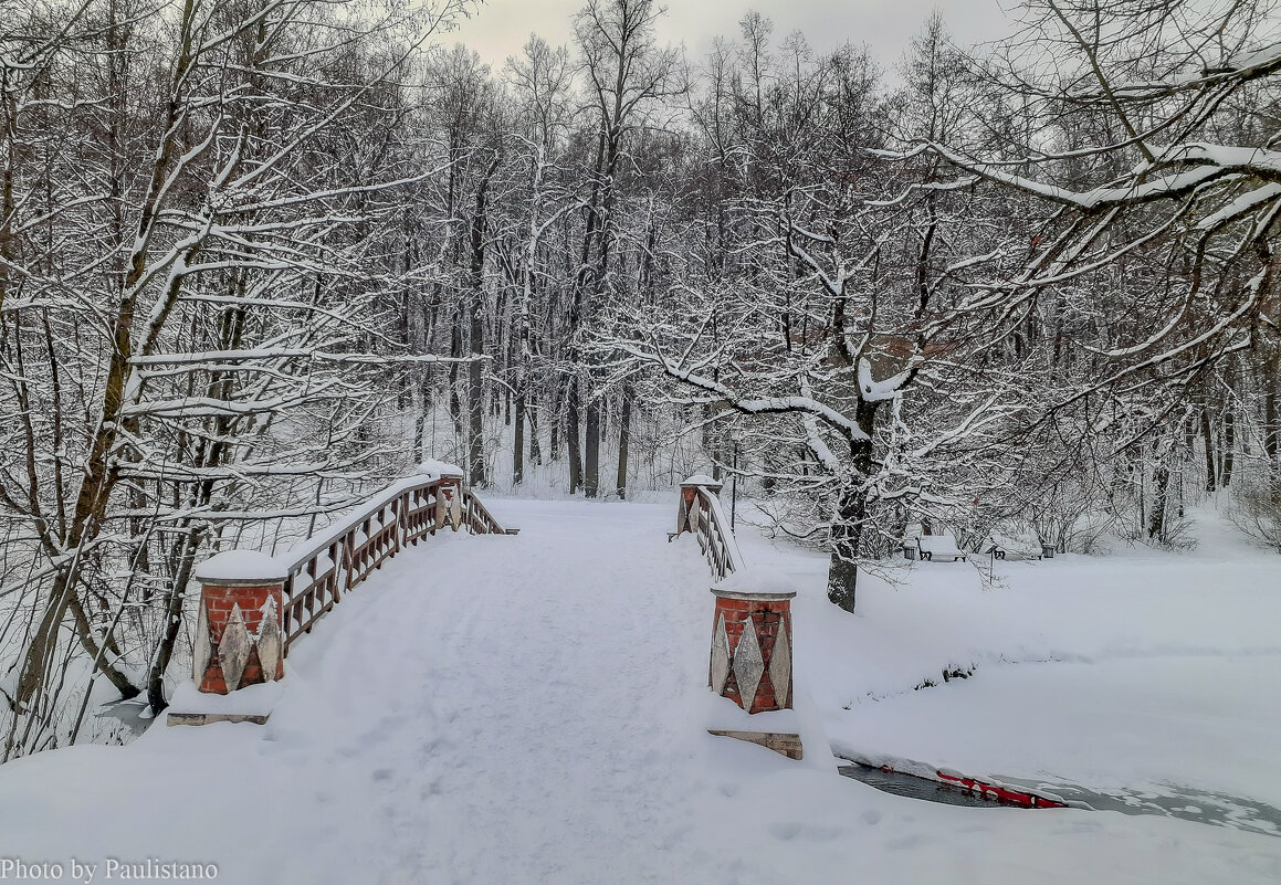 В последний день уходящего года... - Владимир Жданов