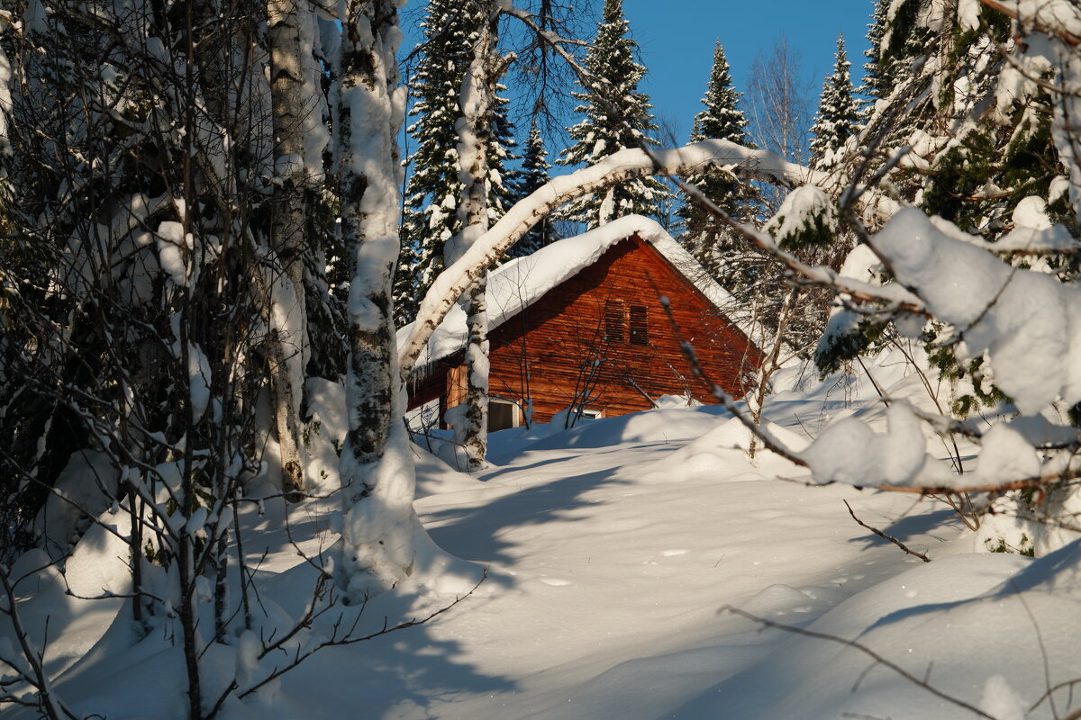 Зимняя сказка - Павел Трунцев