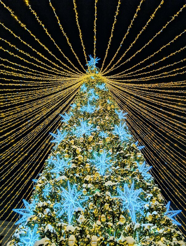 Новогодний Киров - Анастасия Логинова