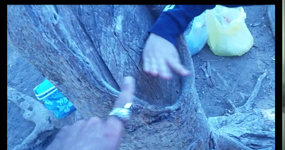 115 (34) - CLOSE WAYS ALL