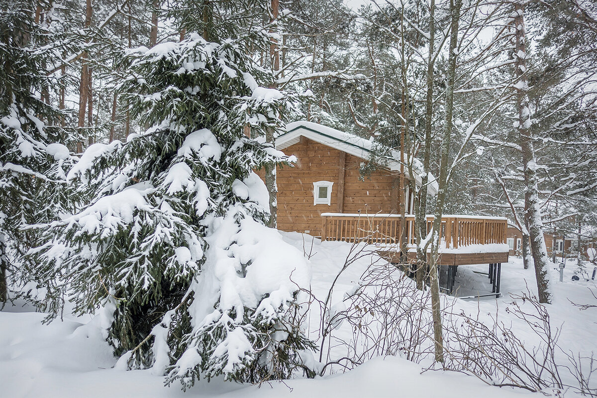 А за городом зима, зима,зима... - Bosanat 