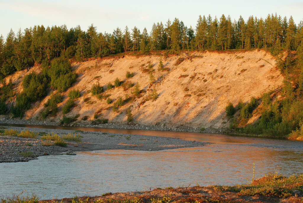 Ямал - Tata Wolf