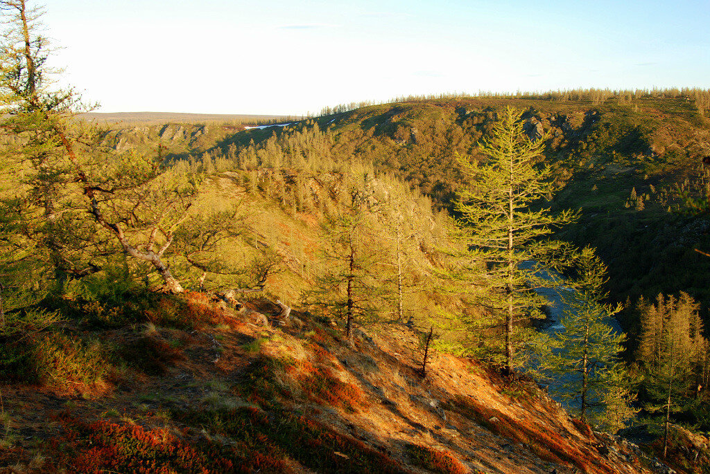 Восточный склон полярного Урала. Ямал. - Tata Wolf