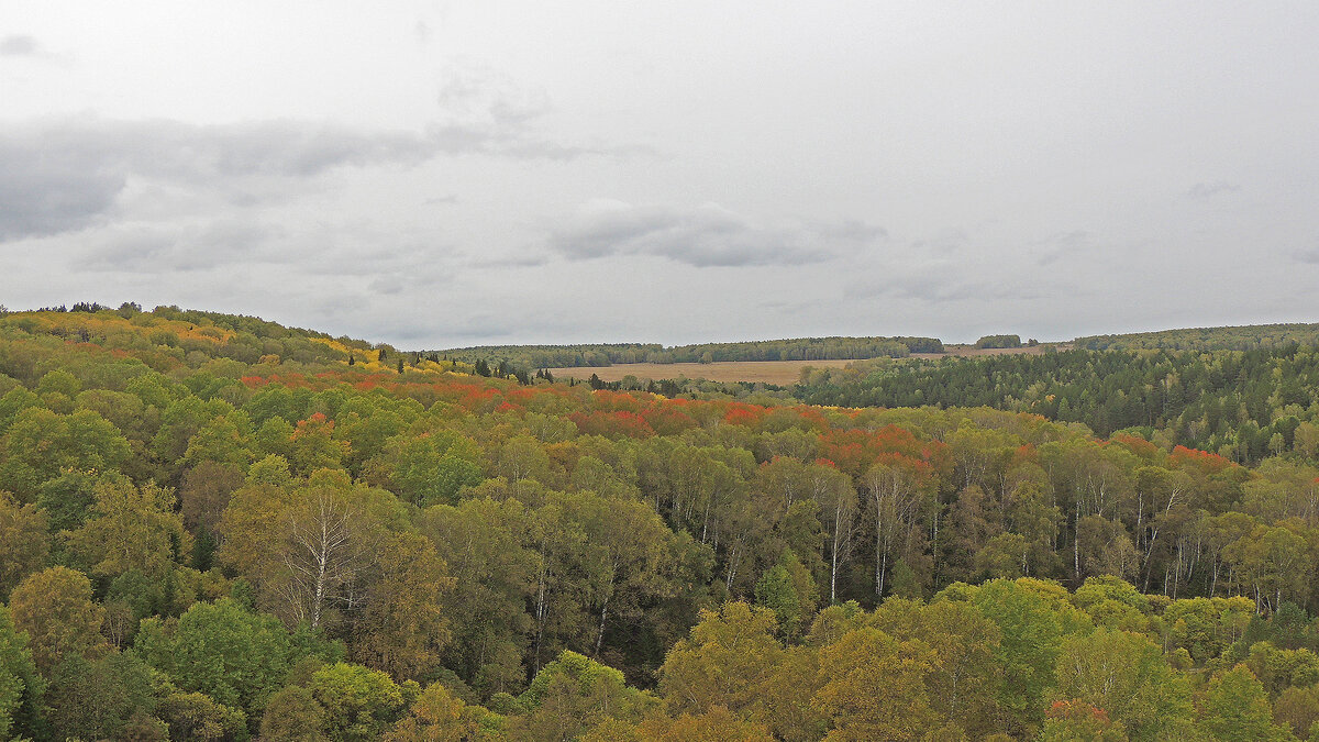 Осенние дали - Владимир Кириченко