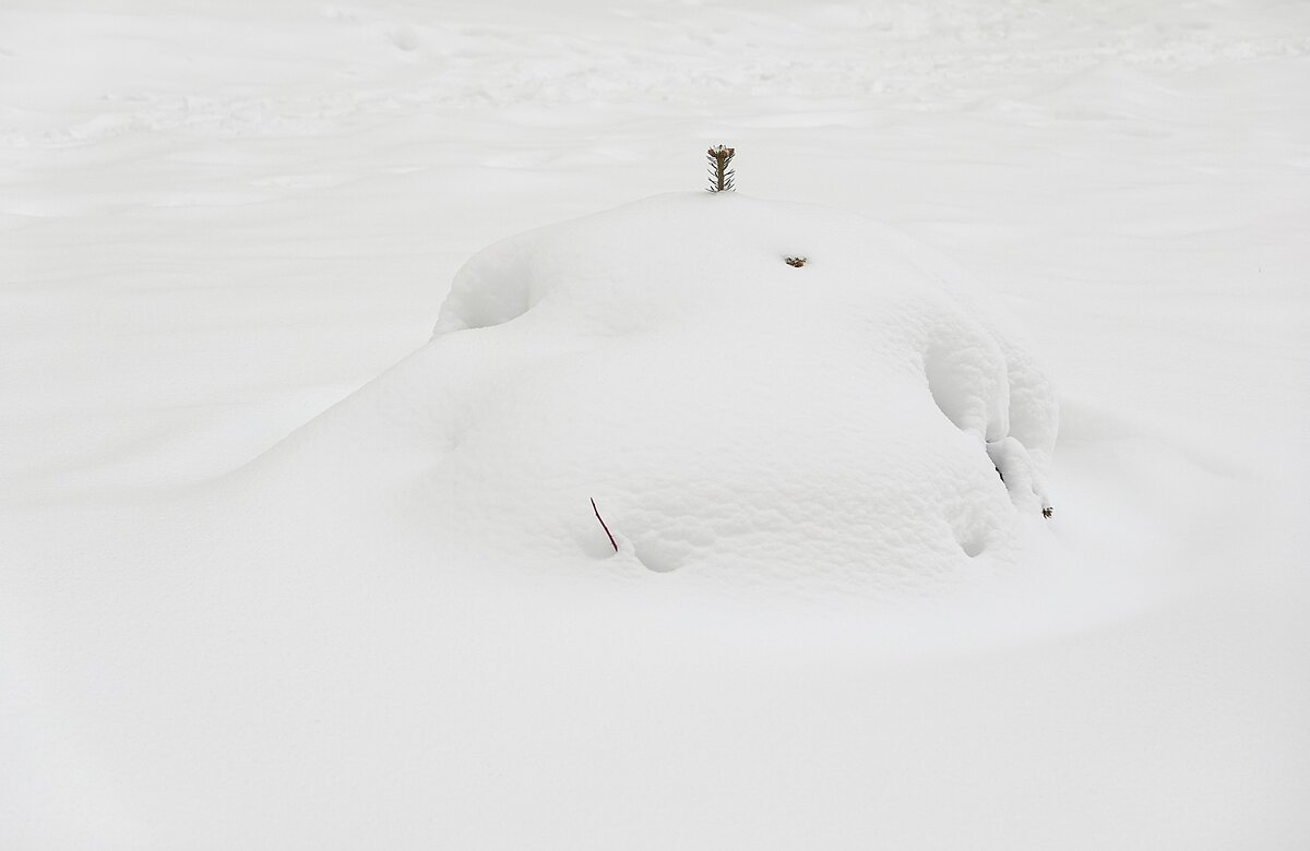 Хорошо укутал - Валерий Иванович
