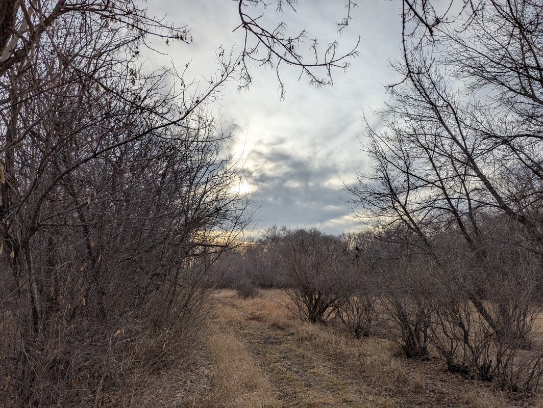 Тихая осень - Андрей Хлопонин