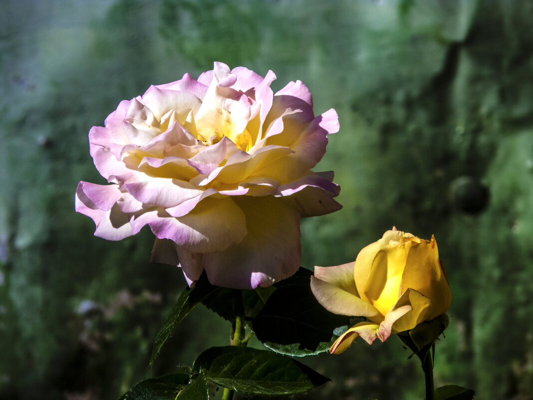 Глория Дей - Валентин Семчишин Глория Дей - Валентин Семчишин