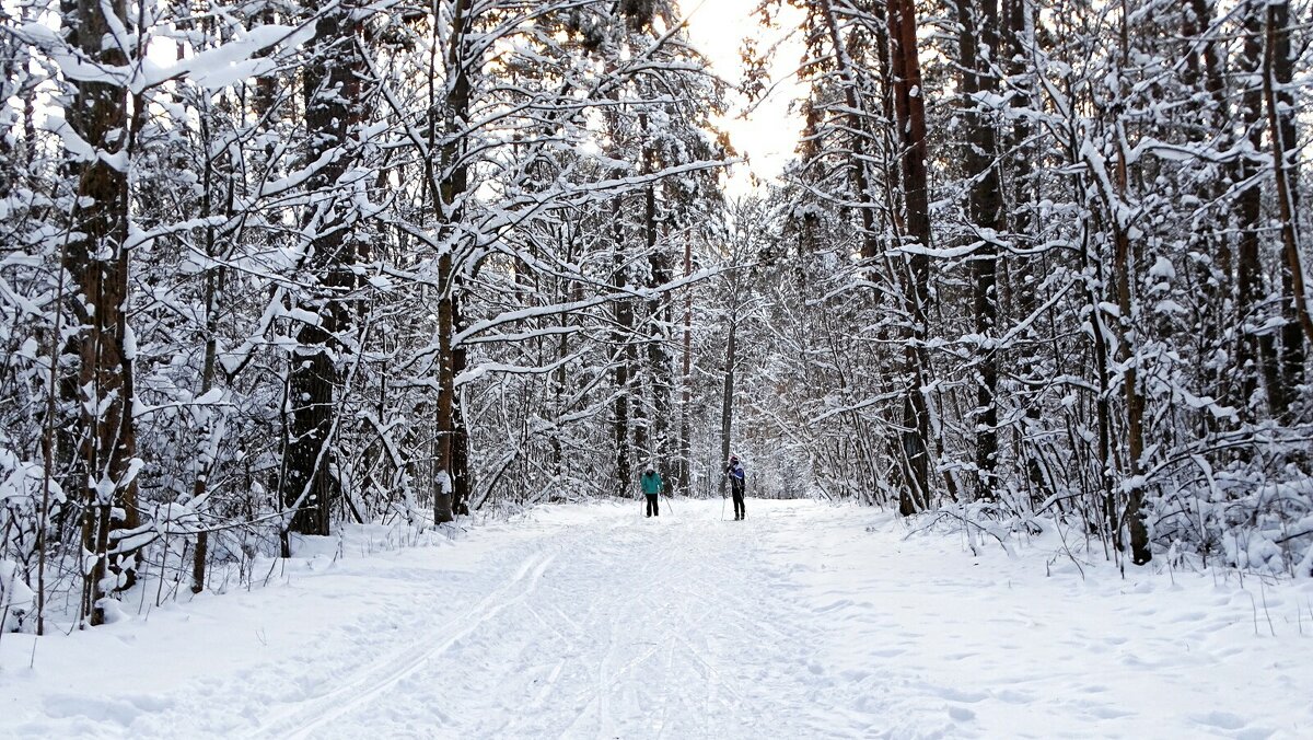 Природа Смоленщины в начале января. - Милешкин Владимир Алексеевич 