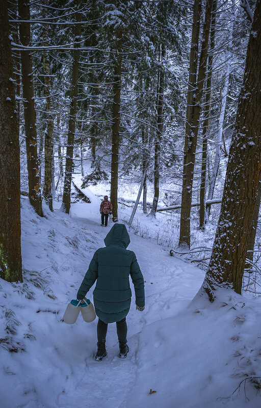 Тропинка на родник. Осторожненько. - Сергей Цветков