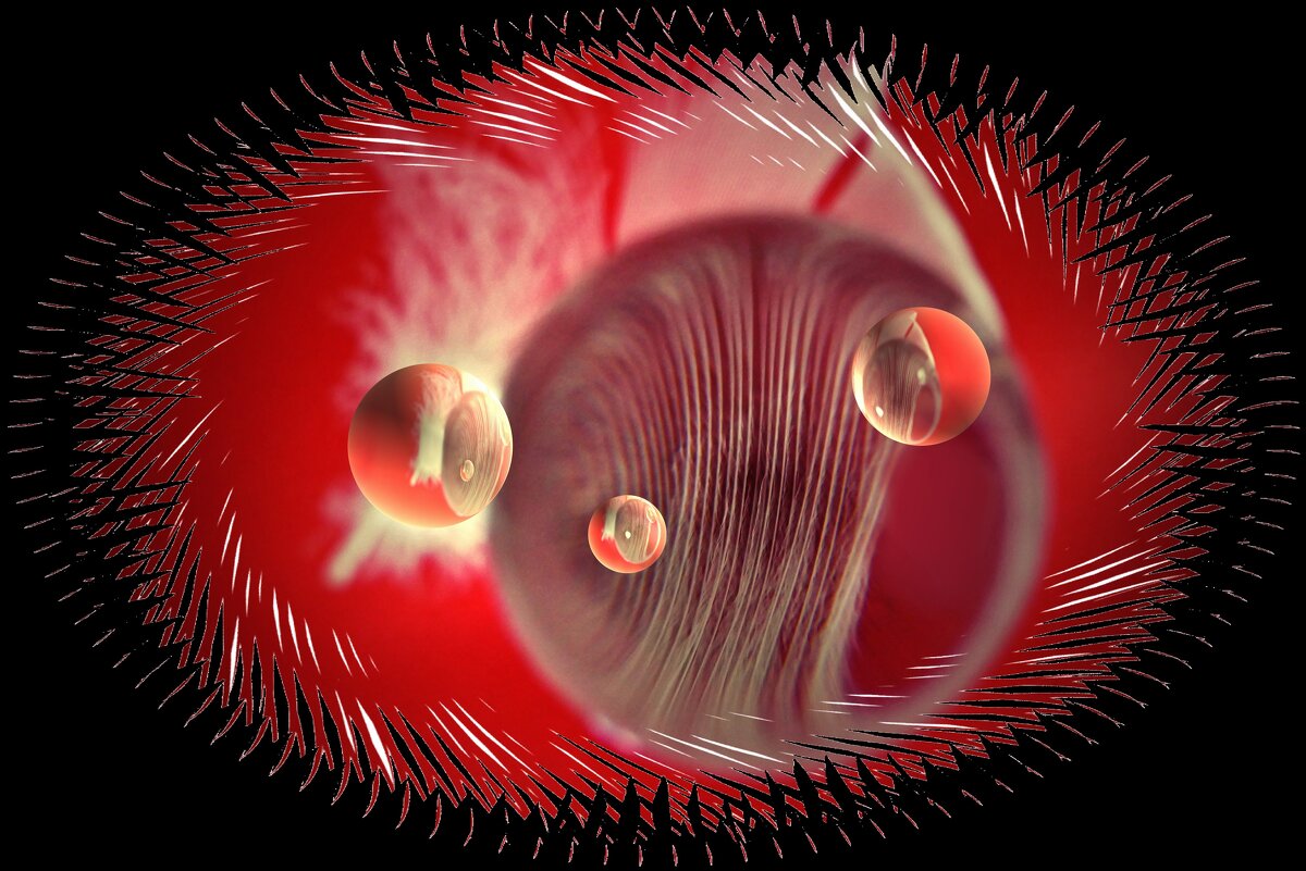 ФАНТАЗИЯ... - Elvira E. ФАНТАЗИЯ... - Elvira E.